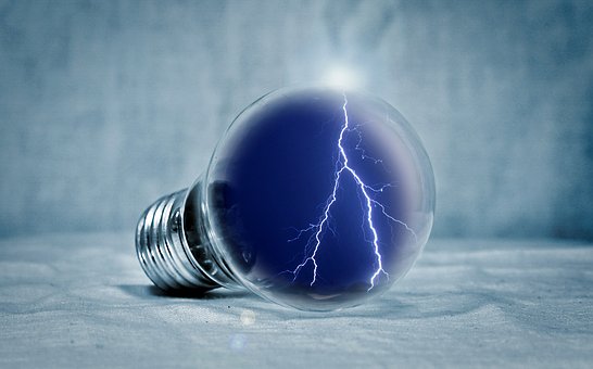 bulb 