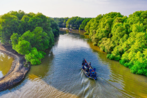 forest river